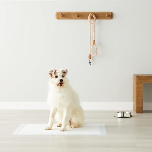 AmazonBasics Pet Pee Pads for Potty Training| Standard | XL 71 x 86 cm| 60 Pieces | Leak-Proof Quick Dry Design, 5-Layer Design, for Medium Dogs and Puppies (Standard, XL Size, 60 Pads)