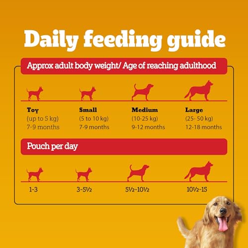 Pedigree Adult Wet Dog Food, Chicken & Liver Chunks in Gravy, 70 g (Pack of 15), Complete & Balanced Meal for Adult Dogs