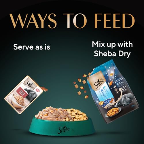 Sheba Rich Premium Adult (1+ Years) Wet Cat Food, Skipjack & Salmon Flavour, 35 g Pouch (Pack of 12), High-moisture wet food for healthy hydration