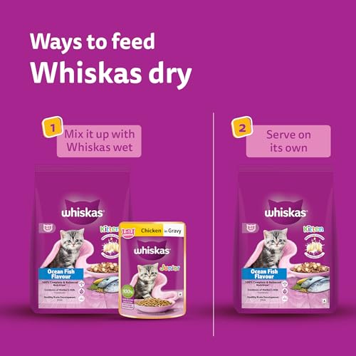 Whiskas Junior Mother Cat & Kitten (2-12 Months) Dry Cat Food, Ocean Fish Flavour, 1.1 kg, Contains 41 Essential Nutrients, Complete & Balanced Nutrition for Mother Cats & Kittens