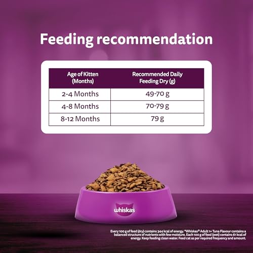 Whiskas Junior Mother Cat & Kitten (2-12 Months) Dry Cat Food, Ocean Fish Flavour, 1.1 kg, Contains 41 Essential Nutrients, Complete & Balanced Nutrition for Mother Cats & Kittens