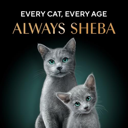 Sheba Rich Premium Adult (1+ Years) Wet Cat Food, Maguro & Bream Flavour, 35 g Pouch (Pack of 12), High-moisture wet food for healthy hydration