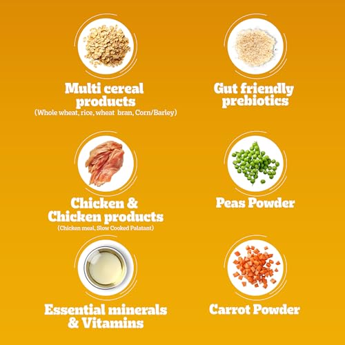Pedigree Adult Dry Dog Food, Chicken & Vegetables, 3 kg, Contains 37 Essential Nutrients, 100% Complete & Balanced Food for Adult Dogs