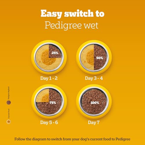Pedigree Adult Wet Dog Food, Chicken & Liver Chunks in Gravy, 70 g (Pack of 15), Complete & Balanced Meal for Adult Dogs