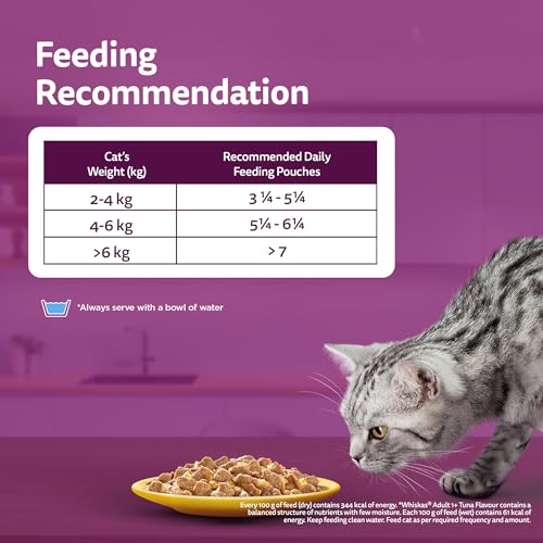 Whiskas Adult (1+ Years) Wet Cat Food, Salmon in Gravy, 80 g (Pack of 14), Hydrating Food Made With Real Fish, 100% Complete & Balanced Nutrition for Adult Cats