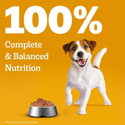 Pedigree Puppy Wet Dog Food, Chicken Chunks in Gravy, 130 g (Pack of 12), Complete & Balanced Meal for Puppies