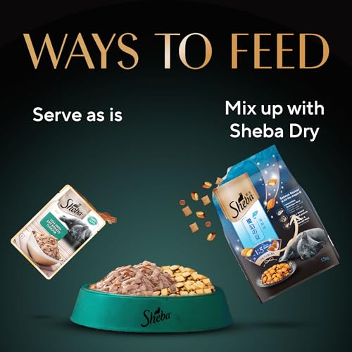 Sheba Rich Premium Adult (1+ Years) Wet Cat Food, Fish with Dry Bonito Flavour, 35 g Pouch (Pack of 12), High-moisture wet food for healthy hydration