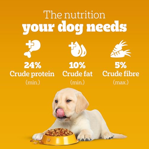 Pedigree Puppy Dry Dog Food, Chicken & Milk, 3 kg, Contains 37 Essential Nutrients, 100% Complete & Balanced Food for Puppies