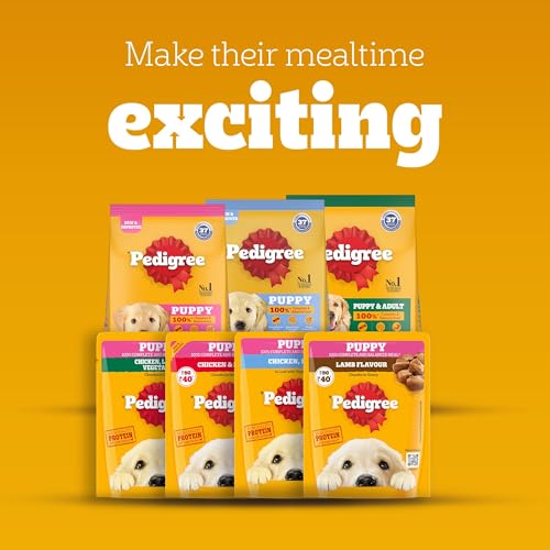 Pedigree Puppy Wet Dog Food, Chicken Chunks in Gravy, 130 g (Pack of 12), Complete & Balanced Meal for Puppies