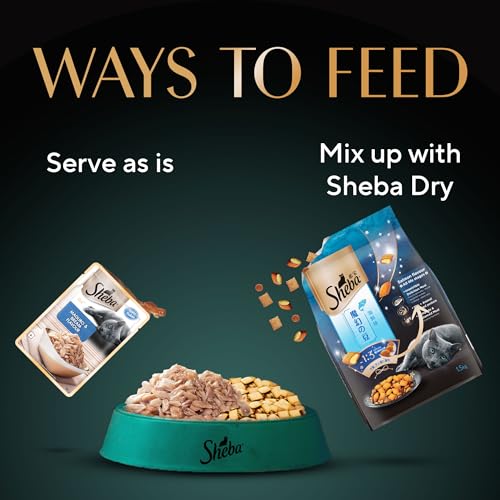 Sheba Rich Premium Adult (1+ Years) Wet Cat Food, Maguro & Bream Flavour, 35 g Pouch (Pack of 12), High-moisture wet food for healthy hydration
