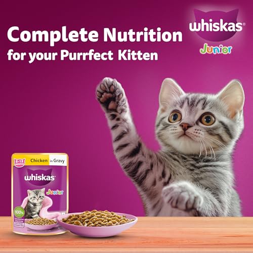 Whiskas Junior Kitten (2-12 Months) Wet Cat Food, Chicken in Gravy, 80 g (Pack of 14), Hydrating Food Made With Real Chicken, 100% Complete & Balanced Nutrition for Kittens