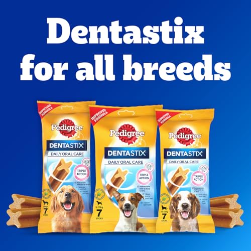 Pedigree Dentastix Oral Care Dog Treat, Adult Large Breed (25+ kg), 1.08 kg, Recommended by Vets, Supports Gum Health, Reduces Risk of Gum diseases