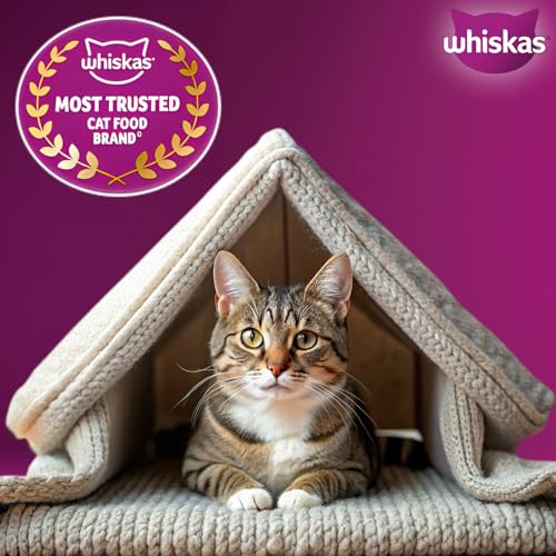 Whiskas Adult (1+ Years) Dry Cat Food, Ocean Fish Flavour, 3 kg, Contains 41 Essential Nutrients, Complete & Balanced Nutrition for Adult Cats