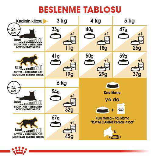 Royal Canin Persian Adult Food, Dry Food, Supports Healthy Growth & Long Hair, Digestive Health, and Reduction in Hairball Formation, 2 Kg