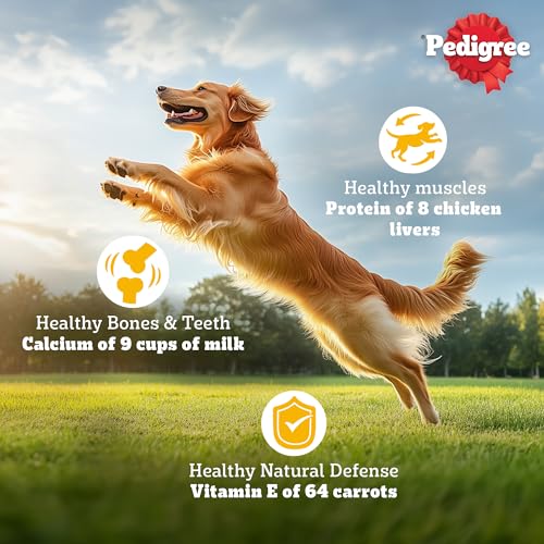 Pedigree Adult Dry Dog Food, Meat & Rice, 3 kg, Contains 37 Essential Nutrients, 100% Complete & Balanced Food for Adult Dogs