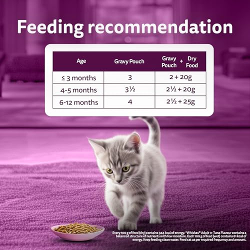 Whiskas Junior Kitten (2-12 Months) Wet Cat Food, Chicken in Gravy, 80 g (Pack of 14), Hydrating Food Made With Real Chicken, 100% Complete & Balanced Nutrition for Kittens