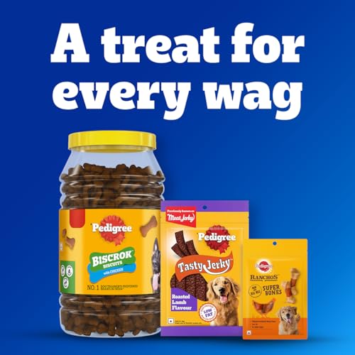 Pedigree Dentastix Oral Care Dog Treat, Adult Small Breed (5-10 kg), 440 g, Recommended by Vets, Supports Gum Health, Reduces Risk of Gum diseases