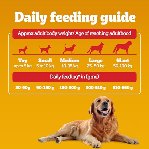 Pedigree Adult Dry Dog Food, Meat & Rice, 3 kg, Contains 37 Essential Nutrients, 100% Complete & Balanced Food for Adult Dogs