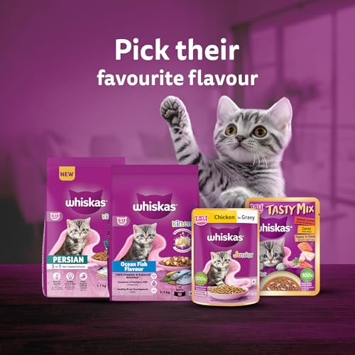 Whiskas Junior Kitten (2-12 Months) Wet Cat Food, Chicken in Gravy, 80 g (Pack of 14), Hydrating Food Made With Real Chicken, 100% Complete & Balanced Nutrition for Kittens