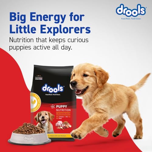 Drools Puppy Dry Dog Food 4.2kg (3kg + 1.2kg Free) | Chicken & Egg Flavour | Supports Active Behaviour | Digestive Health & Immunity | Better Digestibility