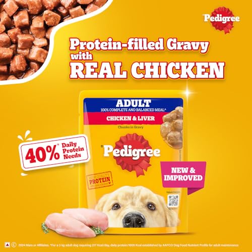 Pedigree Adult Wet Dog Food, Chicken & Liver Chunks in Gravy, 70 g (Pack of 15), Complete & Balanced Meal for Adult Dogs