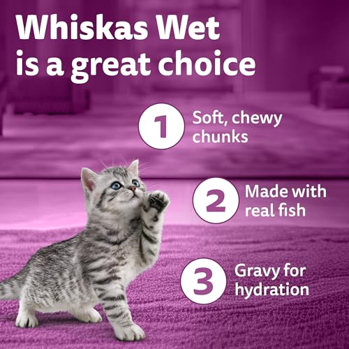 Whiskas Junior Kitten (2-12 Months) Wet Cat Food, Tuna in Jelly, 80 g (Pack of 14), Hydrating Food Made With Real Fish, 100% Complete & Balanced Nutrition for Kittens