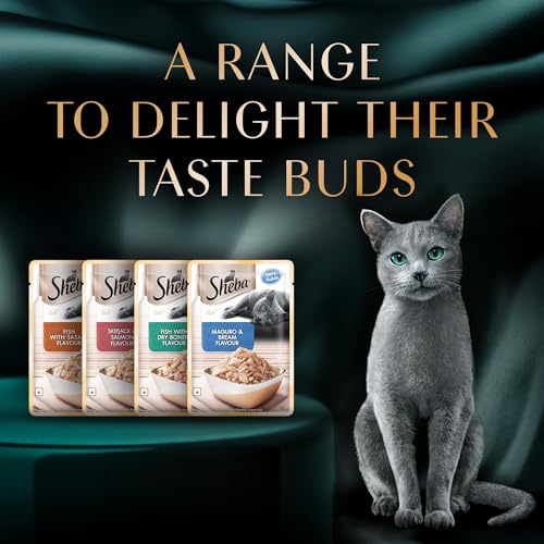 Sheba Rich Premium Adult (1+ Years) Wet Cat Food, Skipjack & Salmon Flavour, 35 g Pouch (Pack of 12), High-moisture wet food for healthy hydration