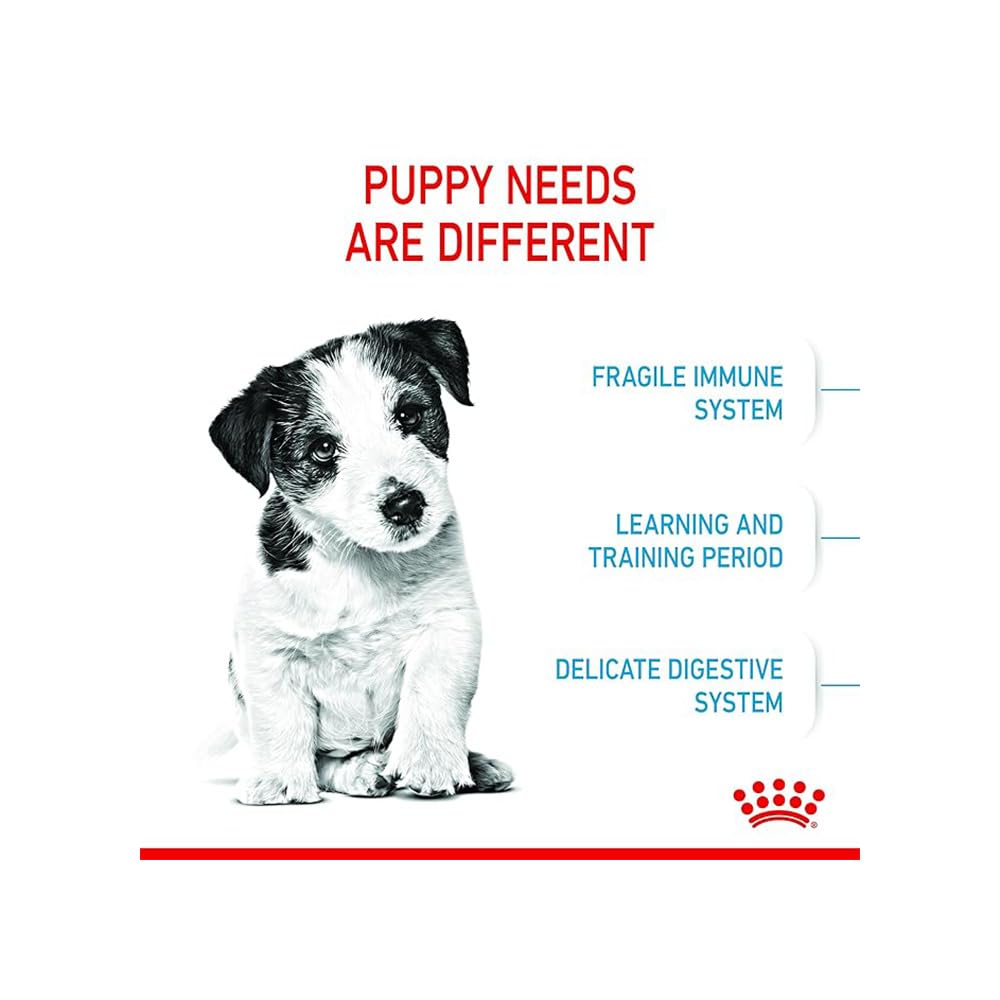 Royal Canin Mini Puppy Food, Dry Food, Supports Complex Natural Defence & digestive health, Supports Immune System, 800 Grams