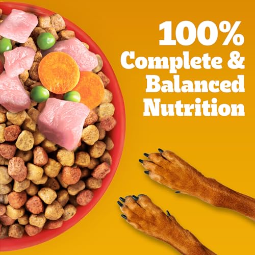 Pedigree Adult Dry Dog Food, Chicken & Vegetables, 3 kg, Contains 37 Essential Nutrients, 100% Complete & Balanced Food for Adult Dogs