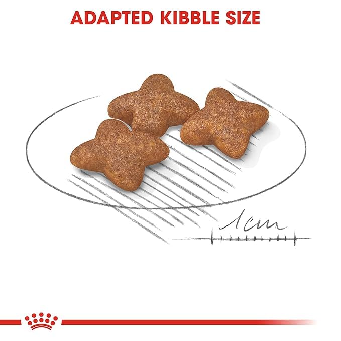 Royal Canin Mini Adult Dog Food, Dry Food, Supports Weight Management & Digestive Health, Promotes overall development, 800 Grams