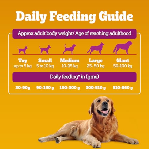 Pedigree Adult Dry Dog Food, New Chicken Biryani Flavour, 1 kg, Protein of 4 Chicken Pieces, Vitamin D3 of 6 Eggs, Calcium of 7 Cups of Yogurt, 100% Complete and Balanced Nutrition