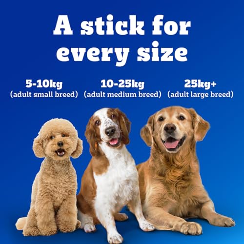 Pedigree Dentastix Oral Care Dog Treat, Adult Medium Breed (10-25 kg), 720 g, Recommended by Vets, Supports Gum Health, Reduces Risk of Gum diseases