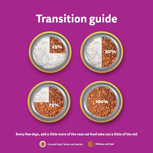 Whiskas Adult (1+ Years) Dry Cat Food, Ocean Fish Flavour, 3 kg, Contains 41 Essential Nutrients, Complete & Balanced Nutrition for Adult Cats