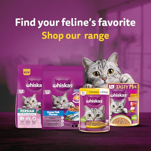 Whiskas Adult (1+ Years) Dry Cat Food, Ocean Fish Flavour, 3 kg, Contains 41 Essential Nutrients, Complete & Balanced Nutrition for Adult Cats