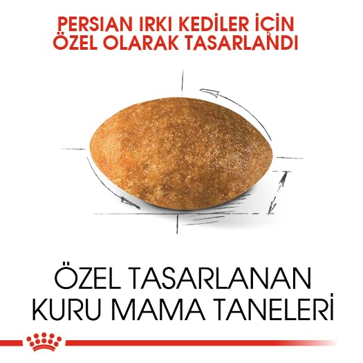 Royal Canin Persian Adult Food, Dry Food, Supports Healthy Growth & Long Hair, Digestive Health, and Reduction in Hairball Formation, 2 Kg