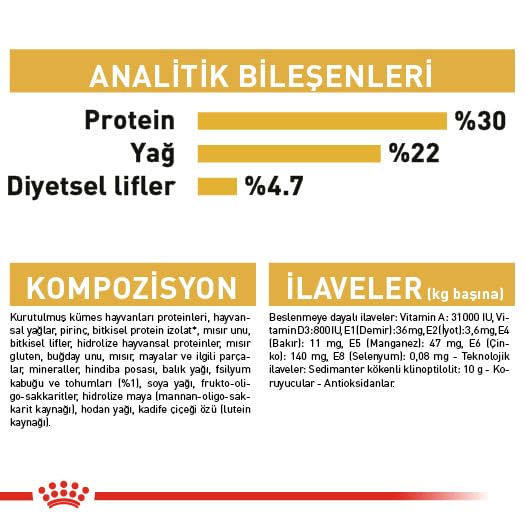 Royal Canin Persian Adult Food, Dry Food, Supports Healthy Growth & Long Hair, Digestive Health, and Reduction in Hairball Formation, 2 Kg