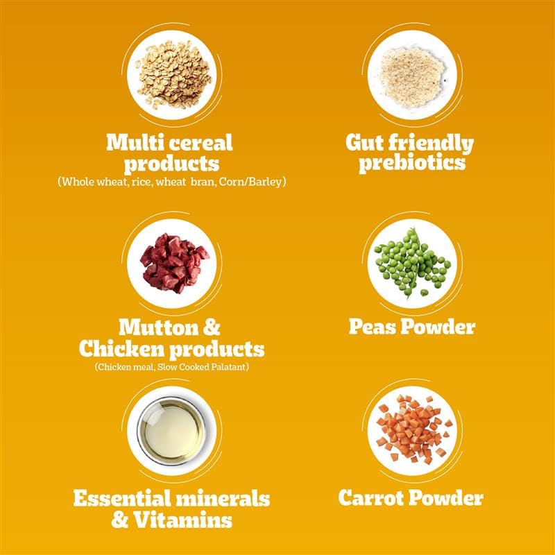 Pedigree Adult Dry Dog Food, Meat & Rice, 3 kg, Contains 37 Essential Nutrients, 100% Complete & Balanced Food for Adult Dogs