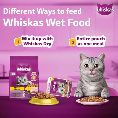 Whiskas Adult (1+ Years) Wet Cat Food, Salmon in Gravy, 80 g (Pack of 14), Hydrating Food Made With Real Fish, 100% Complete & Balanced Nutrition for Adult Cats
