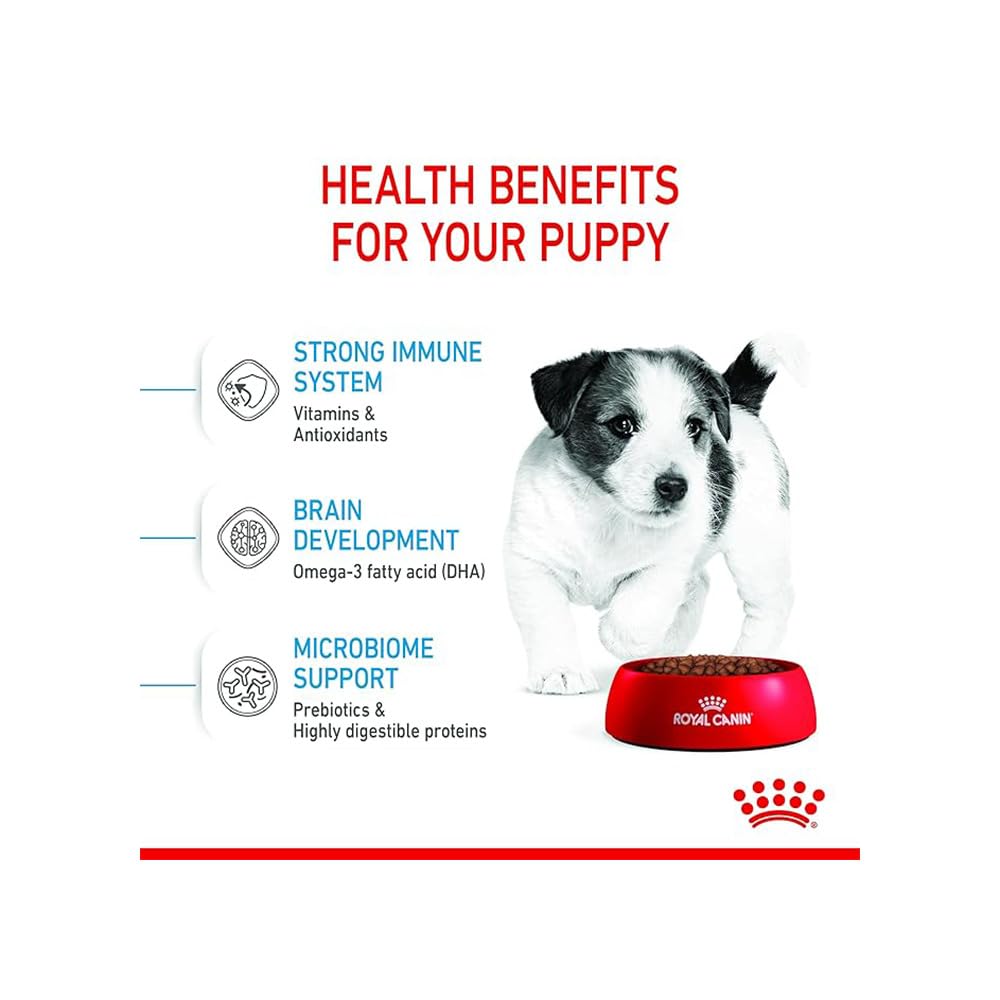 Royal Canin Mini Puppy Food, Dry Food, Supports Complex Natural Defence & digestive health, Supports Immune System, 800 Grams