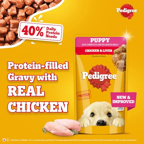 Pedigree Puppy Wet Dog Food, Chicken Chunks in Gravy, 130 g (Pack of 12), Complete & Balanced Meal for Puppies