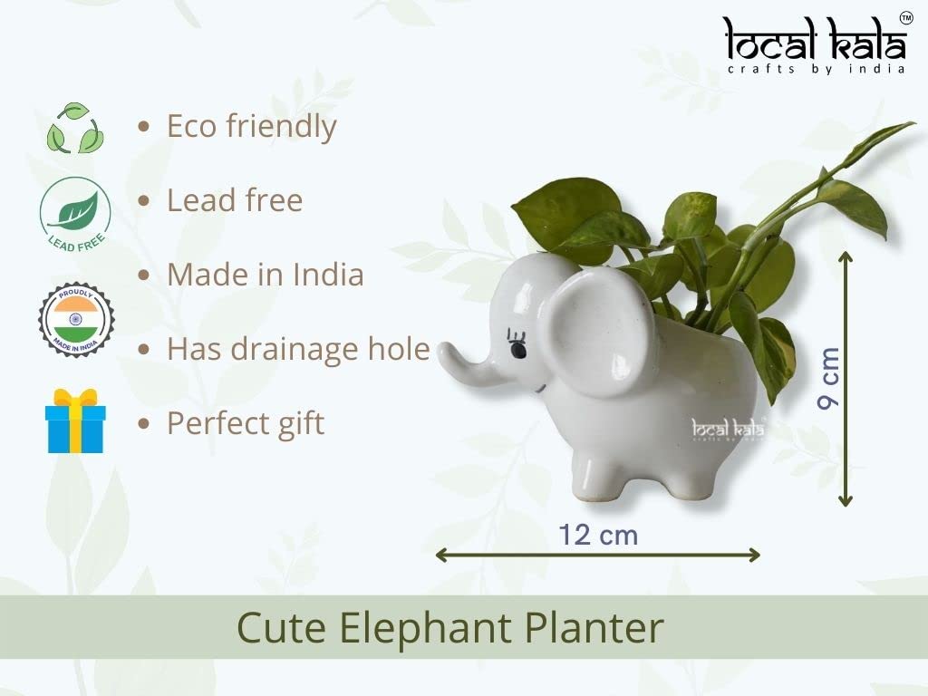 Local Kala's Bestselling Cute Small White Elephant Indoor Planter Plant Pot with Drainage Hole for Table/Desk/Gifting/Garden Size (12 cm X 9 cm) - Without Plant