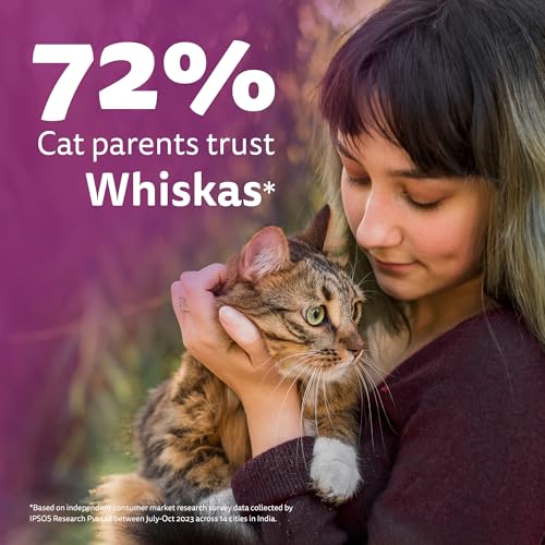 Whiskas Adult (1+ Years) Dry Cat Food, Ocean Fish Flavour, 3 kg, Contains 41 Essential Nutrients, Complete & Balanced Nutrition for Adult Cats