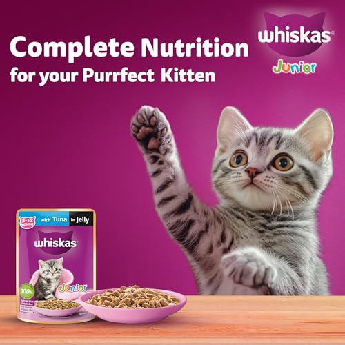 Whiskas Junior Kitten (2-12 Months) Wet Cat Food, Tuna in Jelly, 80 g (Pack of 14), Hydrating Food Made With Real Fish, 100% Complete & Balanced Nutrition for Kittens