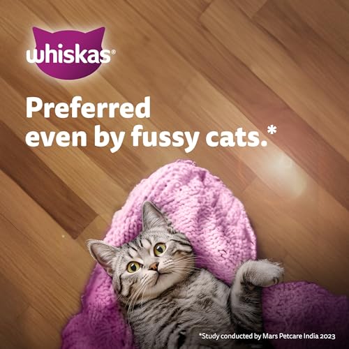 Whiskas Junior Kitten (2-12 Months) Wet Cat Food, Tuna in Jelly, 80 g (Pack of 14), Hydrating Food Made With Real Fish, 100% Complete & Balanced Nutrition for Kittens