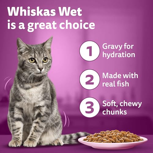 Whiskas Adult (1+ Years) Wet Cat Food, Salmon in Gravy, 80 g (Pack of 14), Hydrating Food Made With Real Fish, 100% Complete & Balanced Nutrition for Adult Cats