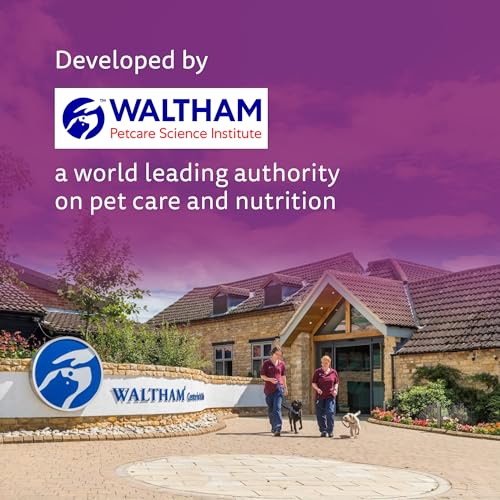 Whiskas Junior Kitten (2-12 Months) Wet Cat Food, Chicken in Gravy, 80 g (Pack of 14), Hydrating Food Made With Real Chicken, 100% Complete & Balanced Nutrition for Kittens