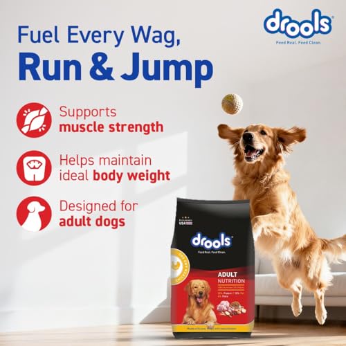Drools Adult Dry Dog Food 4.2kg (3kg + 1.2kg Free) | Chicken & Egg Flavour | Supports Active Behaviour | Digestive Health & Immunity | Better Digestibility