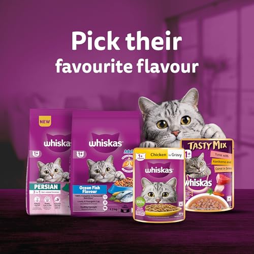 Whiskas Adult (1+ Years) Wet Cat Food, Salmon in Gravy, 80 g (Pack of 14), Hydrating Food Made With Real Fish, 100% Complete & Balanced Nutrition for Adult Cats