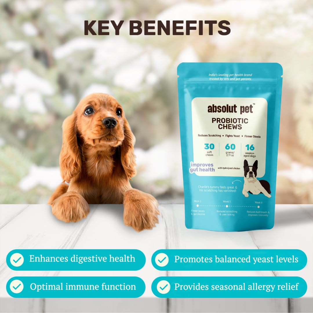 Absolut Pet Dog Supplement for Gut Health, Probiotics for Dogs That Reduces Scratching & Paw-Licking (30 Chews)