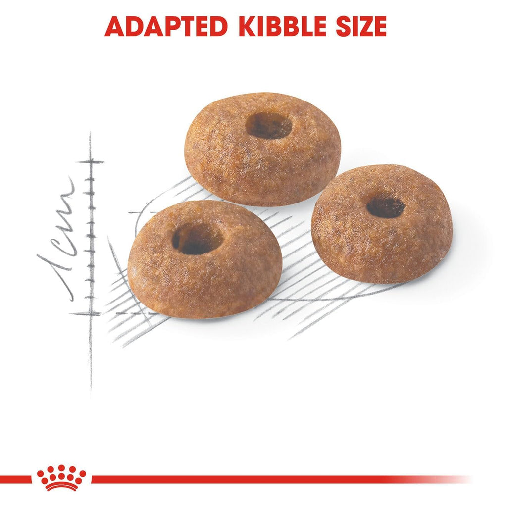 Royal Canin Fit 32 Regular Powder Adult Cat Food, Dry Food, Supports Weight Management & Optimal Nutrient Profile,2 Kg